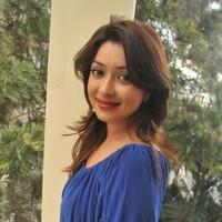 Payal Ghosh hot in Mini Blue dress - Photos | Picture 102715